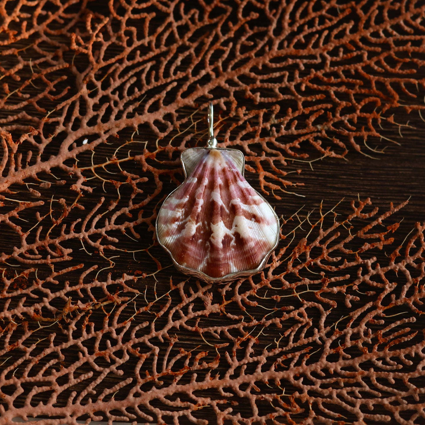 Large Decatopecten Necklace