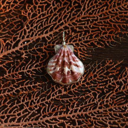 Large Decatopecten Necklace