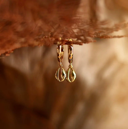 Cowrie Shell Hoops