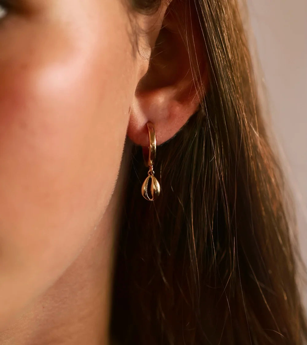 Cowrie Shell Hoops