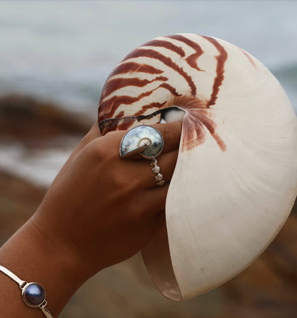 Deep Sea Nautilus Ring
