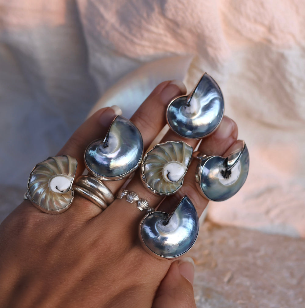 Deep Sea Nautilus Ring