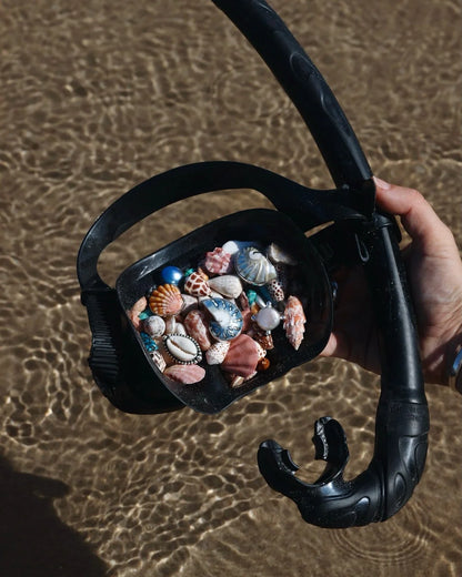 Nudibranch Nautilus Ring