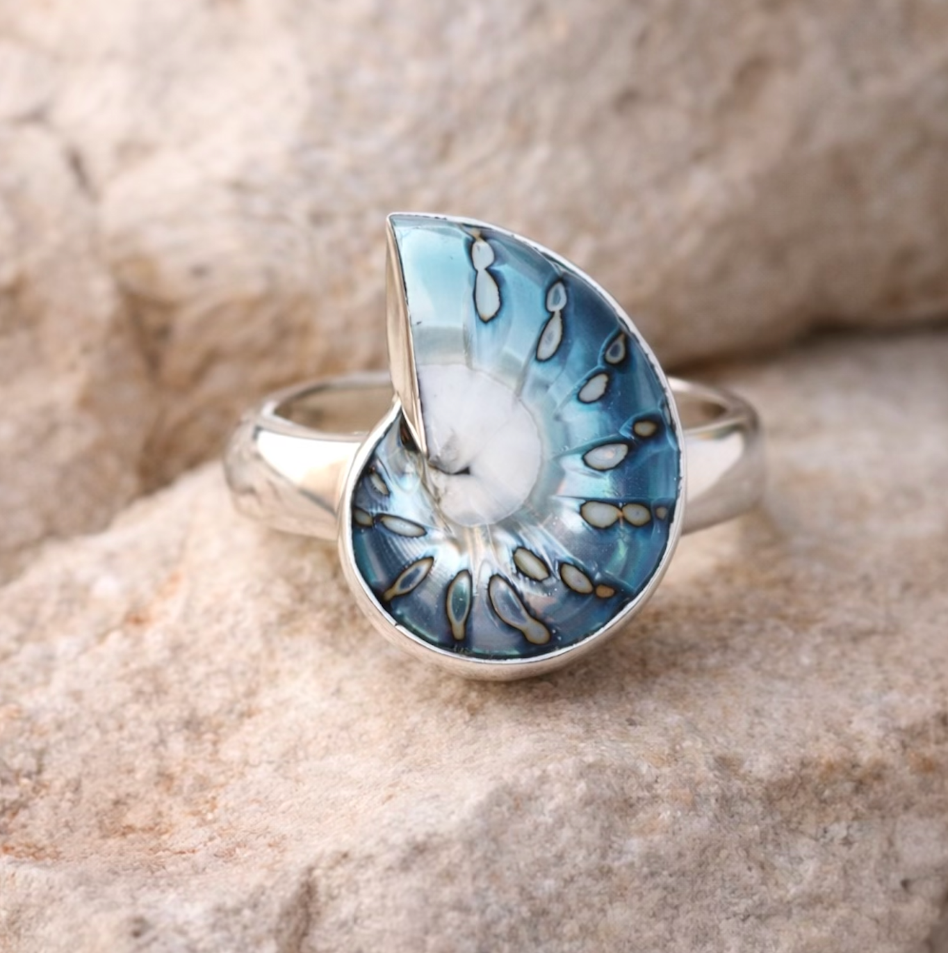 Nudibranch Nautilus Ring